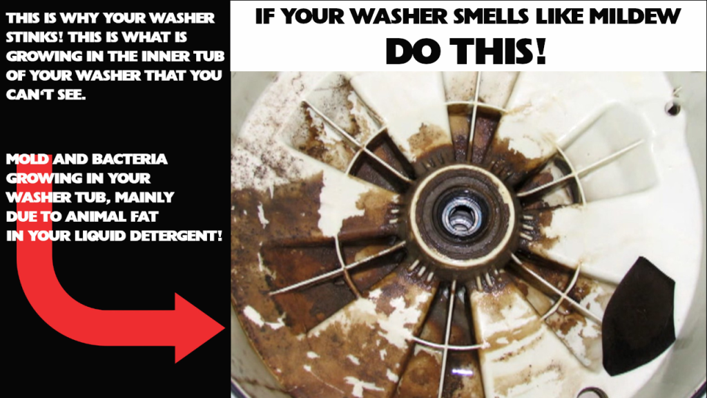 How to Clean A Smelly Washing Machine And Get Rid Of Mold & Mildew